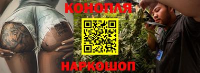 молекула духа Будённовск