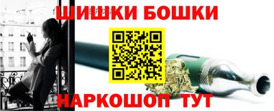 молекула духа Будённовск
