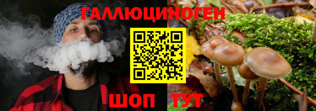 Галлюциногенные грибы мухоморы  Псилоцибиновые грибы Psilocybine cubensis  Вход с VPN  Радужный 